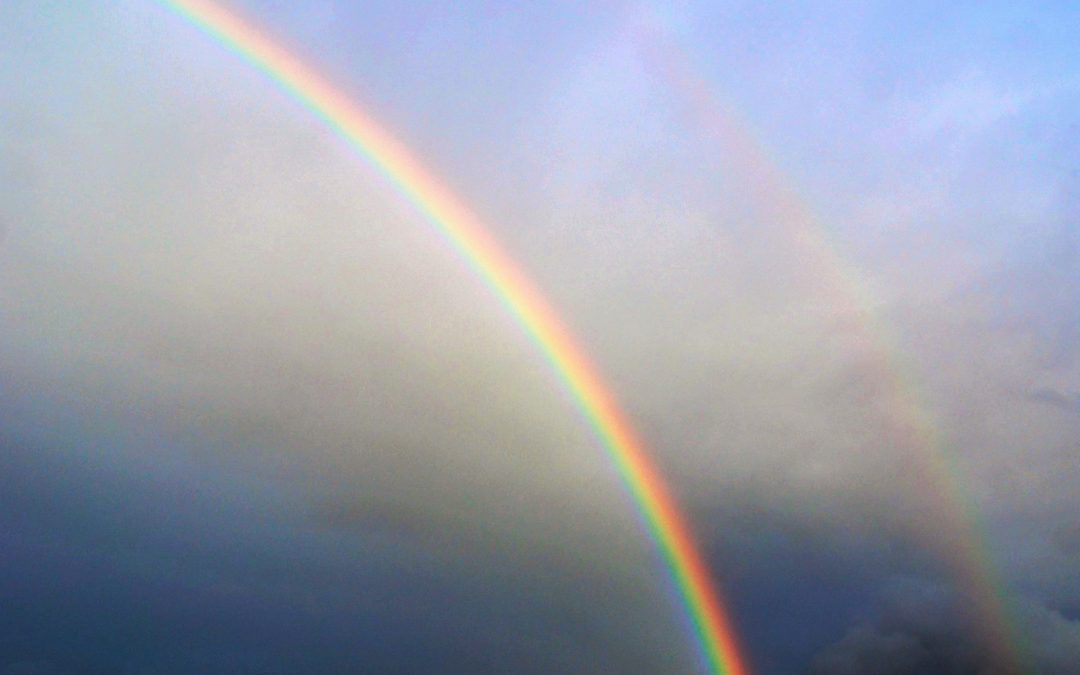 De dag van de regenboog.